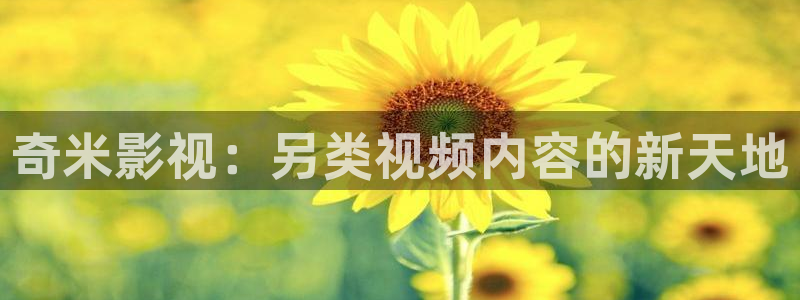 红叶电影今日影讯：奇米影视：另类视频内容的新天地