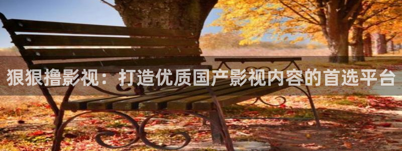 红叶电影院今日影讯：狠狠撸影视：打造优质国产影视内容的首选平台