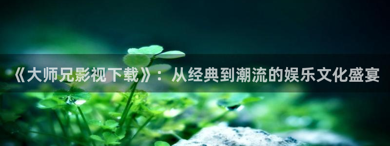 红叶影视完整版：《大师兄影视下载》：从经典到潮流的娱乐文化盛宴