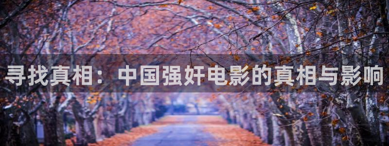 红叶影城：寻找真相：中国强奸电影的真相与影响