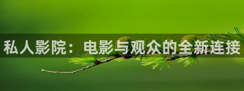 六安红叶影城电影：私人影院：电影与观众的全新连接