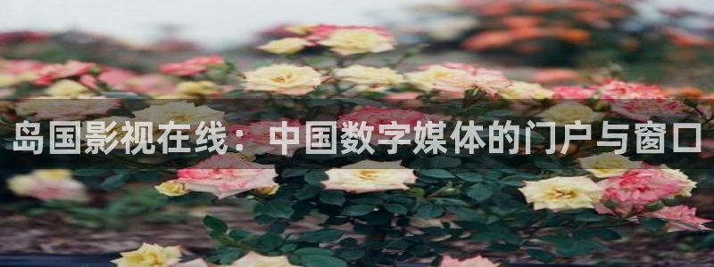红叶影院：岛国影视在线：中国数字媒体的门户与窗口
