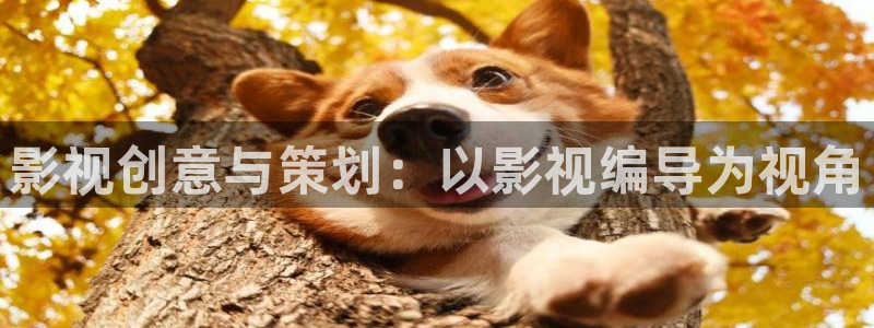 六安红叶影城今日影讯：影视创意与策划：以影视编导为视角