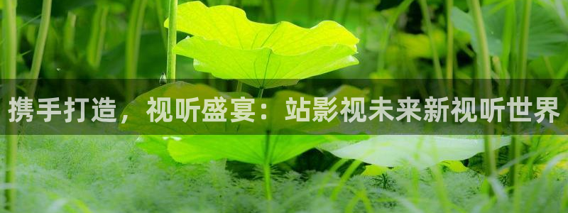 红叶影视下载：携手打造，视听盛宴：站影视未来新视听世界