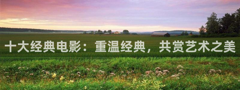 西安红叶影城：十大经典电影：重温经典，共赏艺术之美