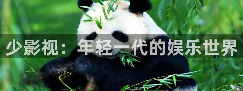红叶影院免费观看电视剧：少影视：年轻一代的娱乐世界