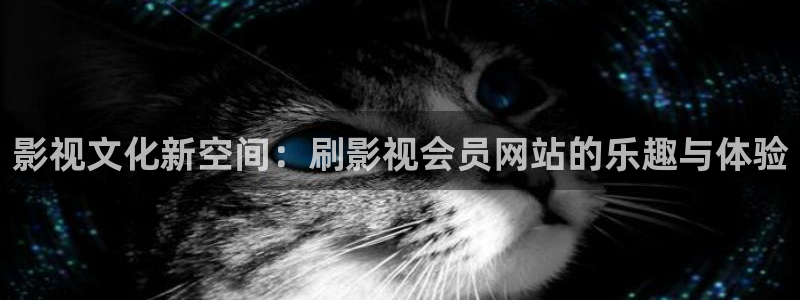 红叶电影：影视文化新空间：刷影视会员网站的乐趣与体验