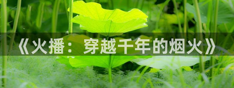 红叶影视下载：《火播：穿越千年的烟火》