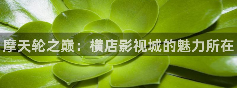 红叶电影今日影讯：摩天轮之巅：横店影视城的魅力所在