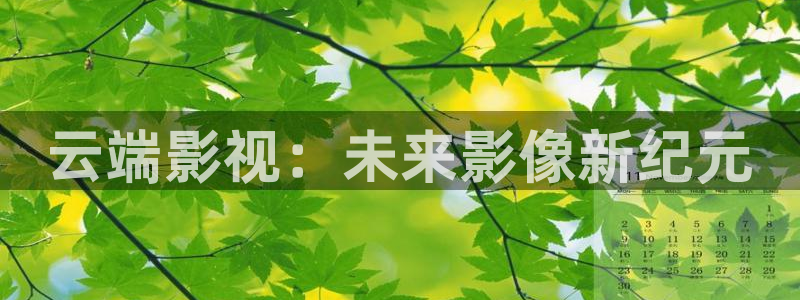 红叶影院免费观看电视剧：云端影视：未来影像新纪元